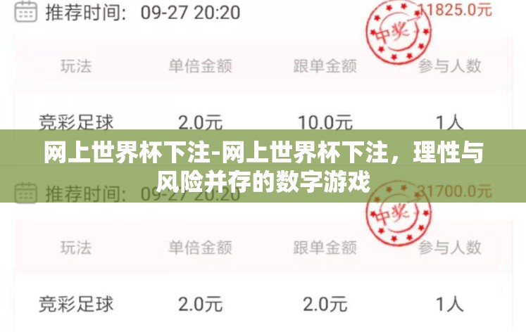 网上世界杯下注-网上世界杯下注，理性与风险并存的数字游戏