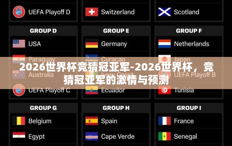 2026世界杯竞猜冠亚军-2026世界杯，竞猜冠亚军的激情与预测