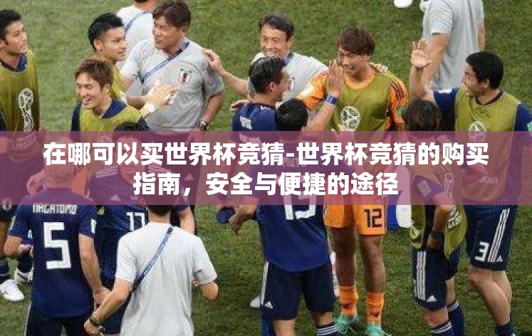 在哪可以买世界杯竞猜-世界杯竞猜的购买指南，安全与便捷的途径
