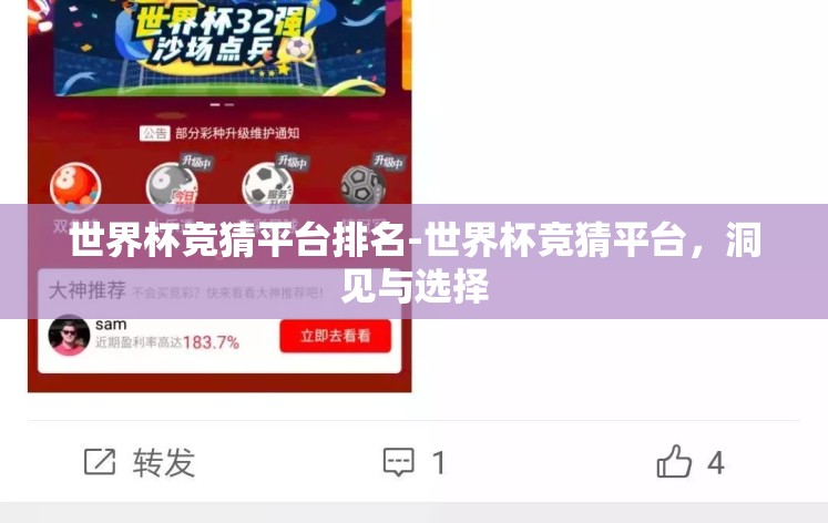 世界杯竞猜平台排名-世界杯竞猜平台，洞见与选择