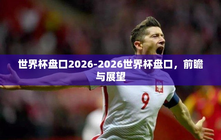 世界杯盘口2026-2026世界杯盘口，前瞻与展望