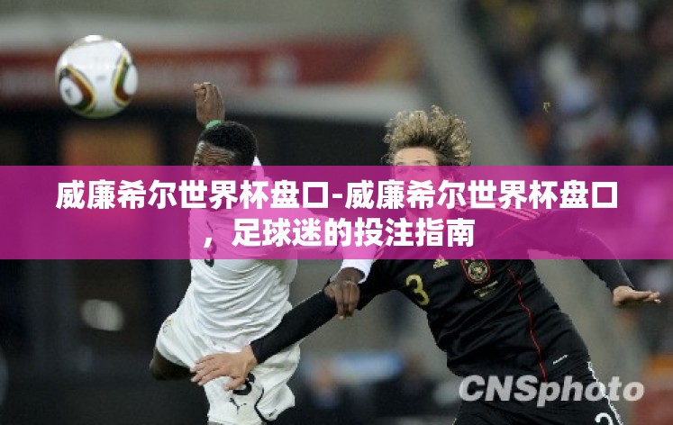 威廉希尔世界杯盘口-威廉希尔世界杯盘口,足球迷的投注指南 威廉希尔世界杯盘口-威廉希尔世界杯盘口,足球迷的投注指南